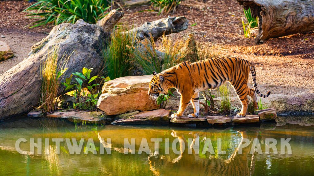 Chitwan National Park, Nepal